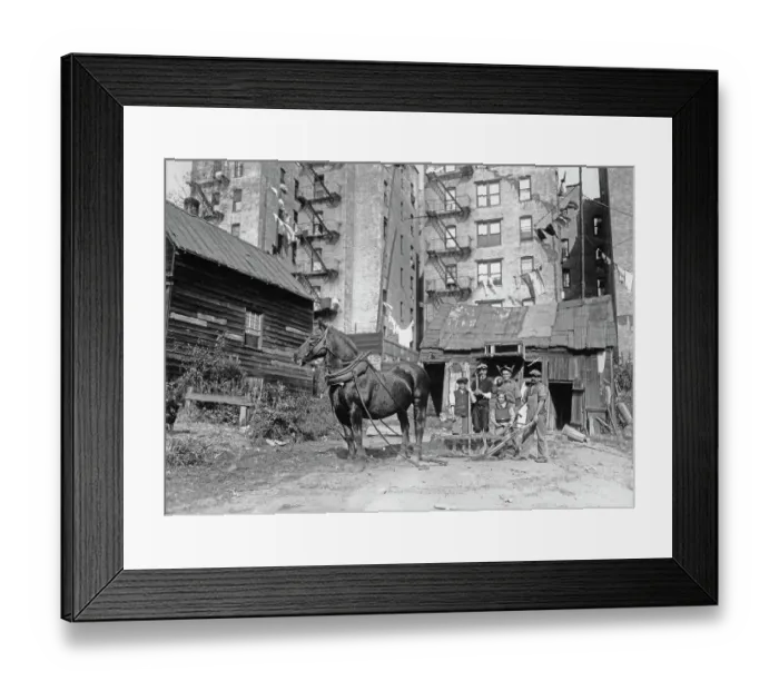 Framed Print : Inner City Farmer, Bronx Framed Print : Inner City Farmer, Bronx