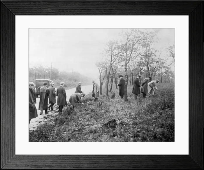 Framed Print : Police and Richard Loeb Searching Field Framed Print : Police and Richard Loeb Searching Field