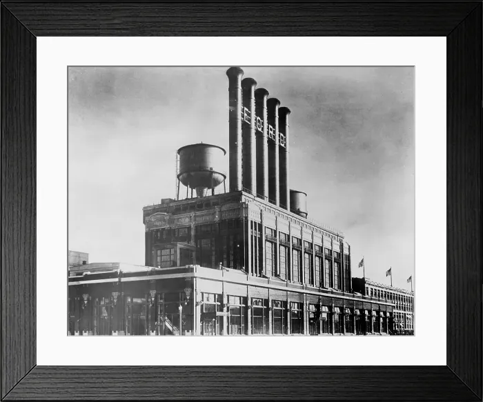 Framed Print : Highland Park Plant Framed Print : Highland Park Plant