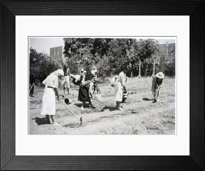 Framed Print : Women Working In Field On Ground Framed Print : Women Working In Field On Ground