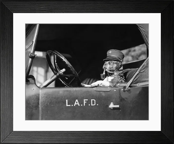 Framed Print : Dog at Fire Truck Wheel Smoking Pipe