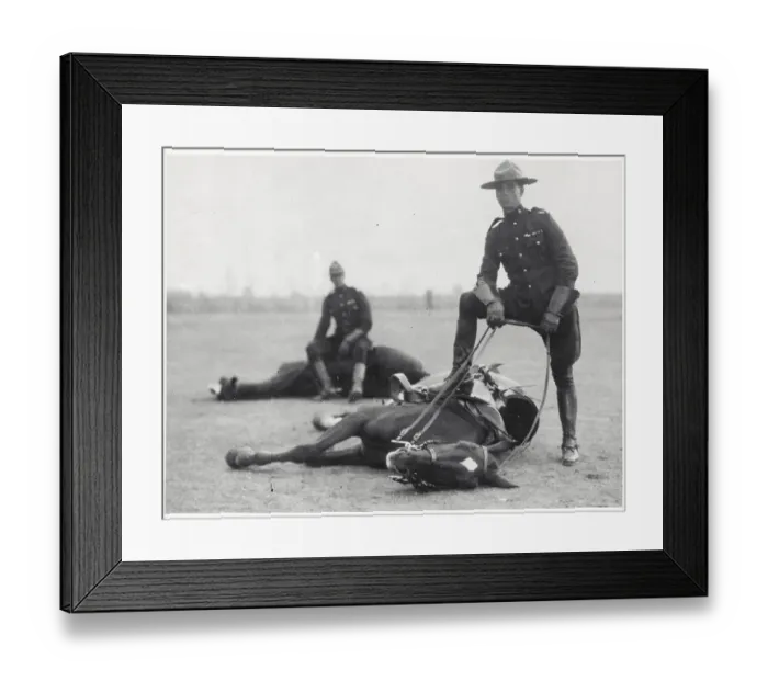 Framed Print : Mounties with Their Horses Framed Print : Mounties with Their Horses