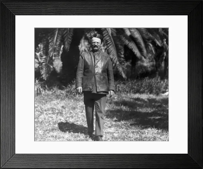 Framed Print : Leon Trotsky Framed Print : Leon Trotsky