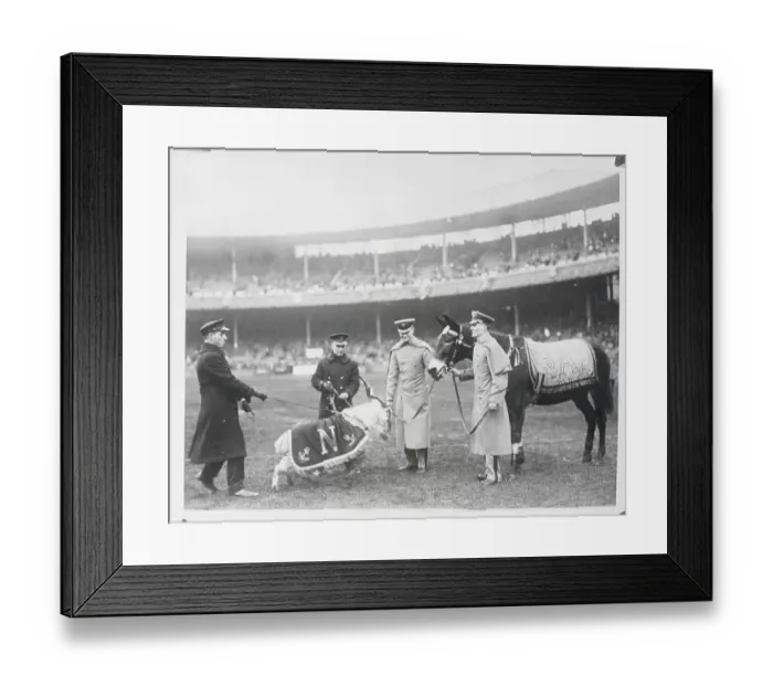 Framed Print : Mascots Being Shown on Field of Army Navy Game