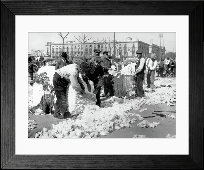 Framed Print : Cotton Market in Barcelona Framed Print : Cotton Market in Barcelona