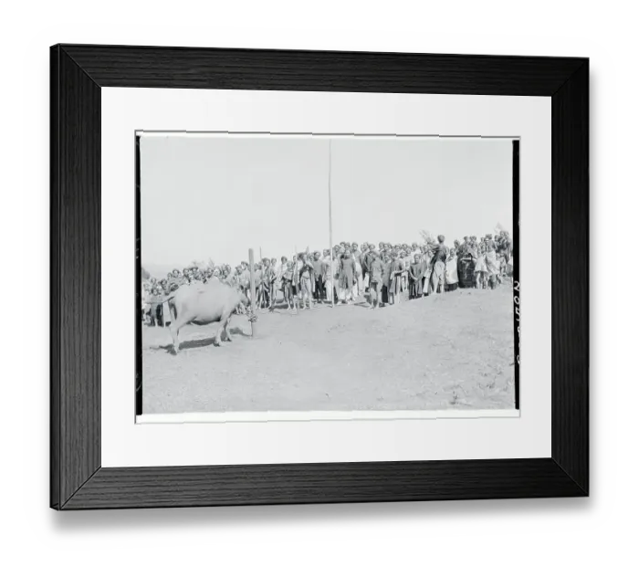 Framed Print : Indochinese Sacrificial Dance Framed Print : Indochinese Sacrificial Dance