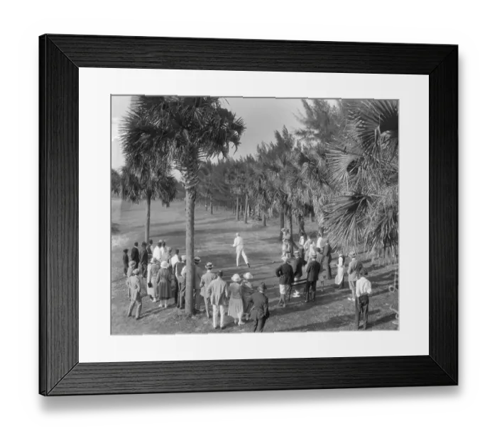 Framed Print : President Harding Playing Golf Framed Print : President Harding Playing Golf