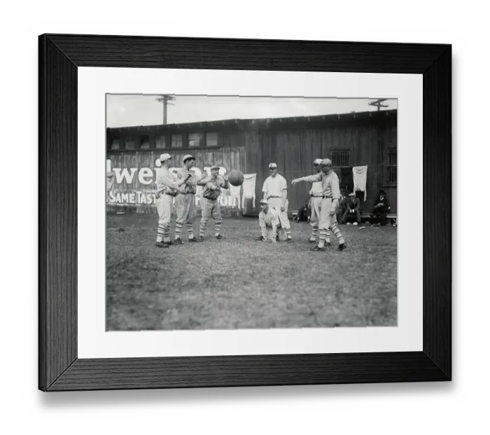 Framed Print : Giants Baseball Team at Spring Training Framed Print : Giants Baseball Team at Spring Training