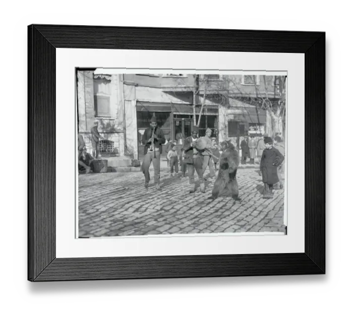 Framed Print : Turkish Street Band Performing with Bear