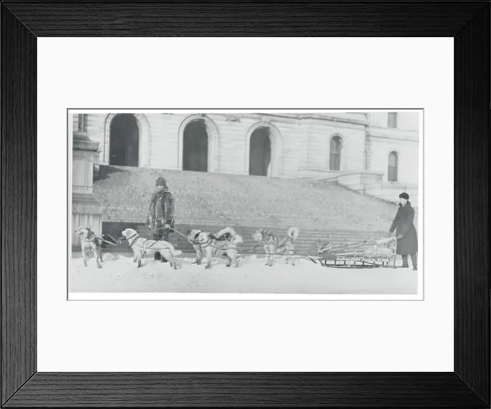 Framed Print : Dog Sled Teams Framed Print : Dog Sled Teams