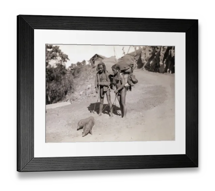 Framed Print : Vietnamese Family W / Pet Pigs On Leash Framed Print : Vietnamese Family W / Pet Pigs On Leash