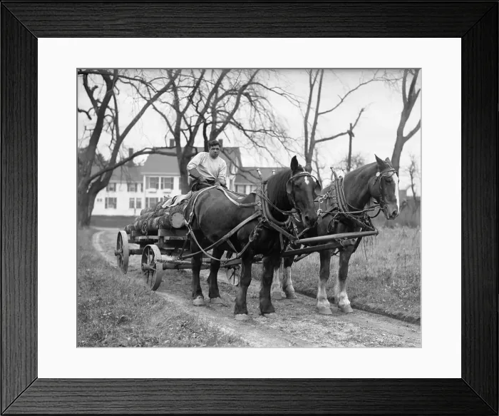 Framed Print : Babe Ruth Hauling Logs Framed Print : Babe Ruth Hauling Logs