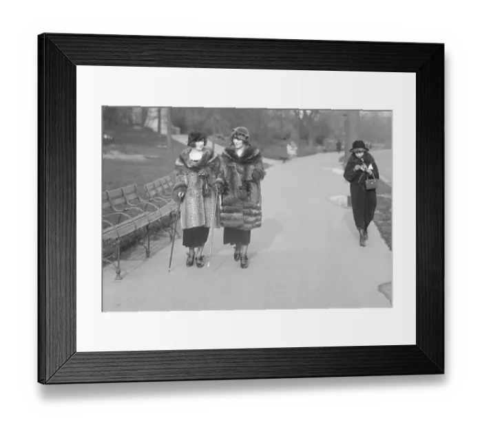 Framed Print : Women Carrying Canes In New York Framed Print : Women Carrying Canes In New York