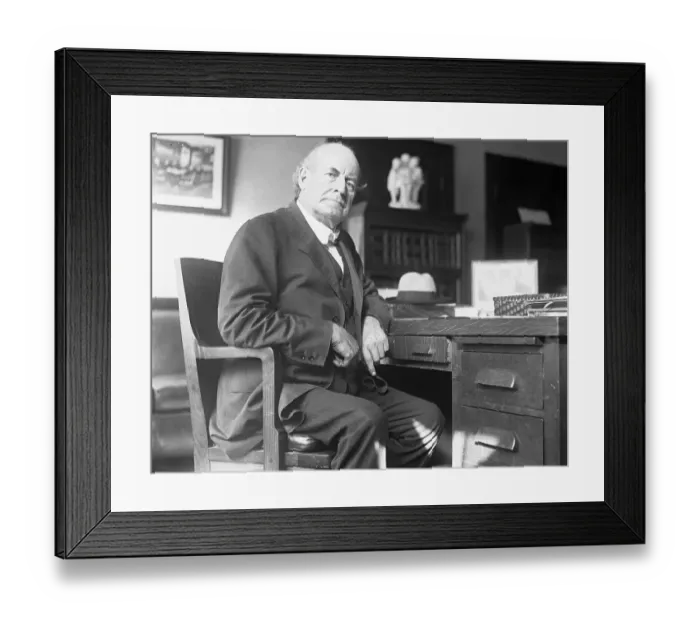 Framed Print : William Jennings Bryan Framed Print : William Jennings Bryan