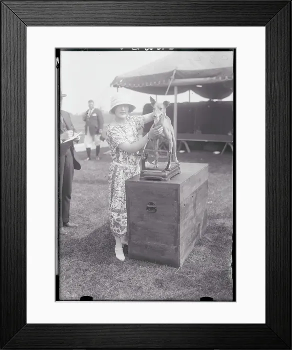 Framed Print : Woman Weighing Her Dog Framed Print : Woman Weighing Her Dog