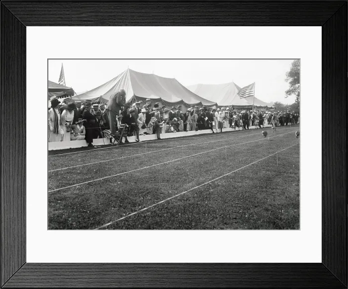 Framed Print : Spectators Watching Dog Race Framed Print : Spectators Watching Dog Race