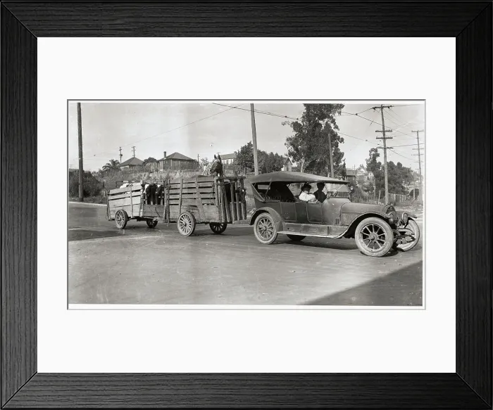 Framed Print : Car Pulling Small Wagons with Cattle