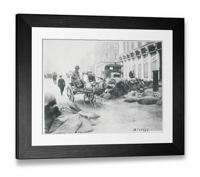 Framed Print : Woman Driving Cart near Bag Strewn Street Framed Print : Woman Driving Cart near Bag Strewn Street