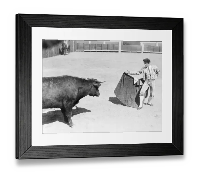 Framed Print : Rudolph Valentino Tempting a Bull Framed Print : Rudolph Valentino Tempting a Bull
