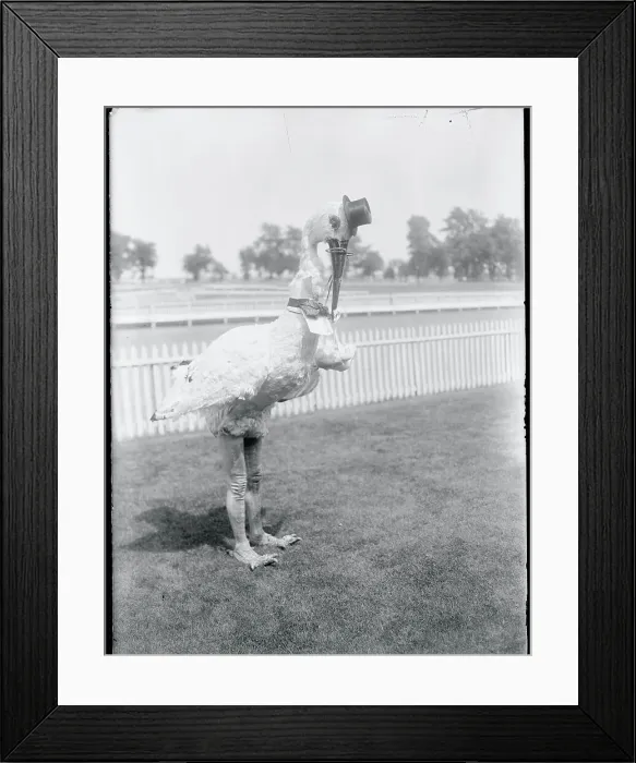 Framed Print : Man Dressed up as Stork Framed Print : Man Dressed up as Stork