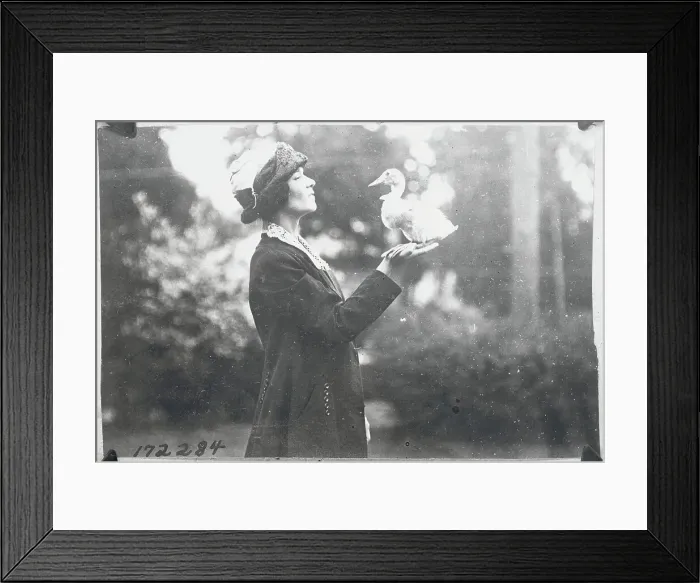 Framed Print : Woman Holding Her Trained Duck Framed Print : Woman Holding Her Trained Duck