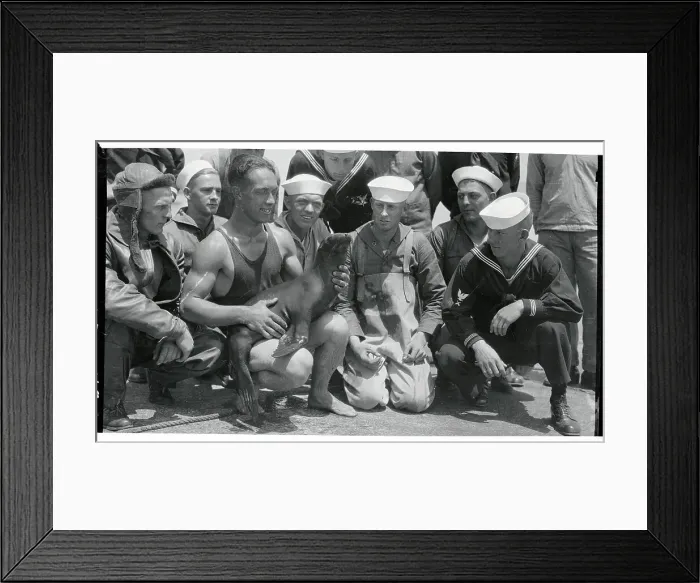Framed Print : Navy Men Holding Their Mascot Framed Print : Navy Men Holding Their Mascot