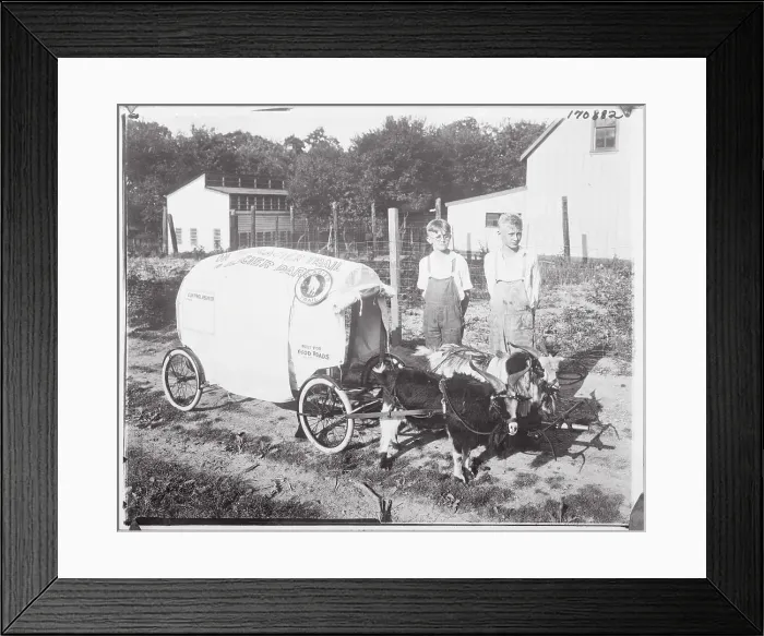 Framed Print : Boy Scouts Posing Behind Billy Goats and Prairie Schooner Framed Print : Boy Scouts Posing Behind Billy Goats and Prairie Schooner