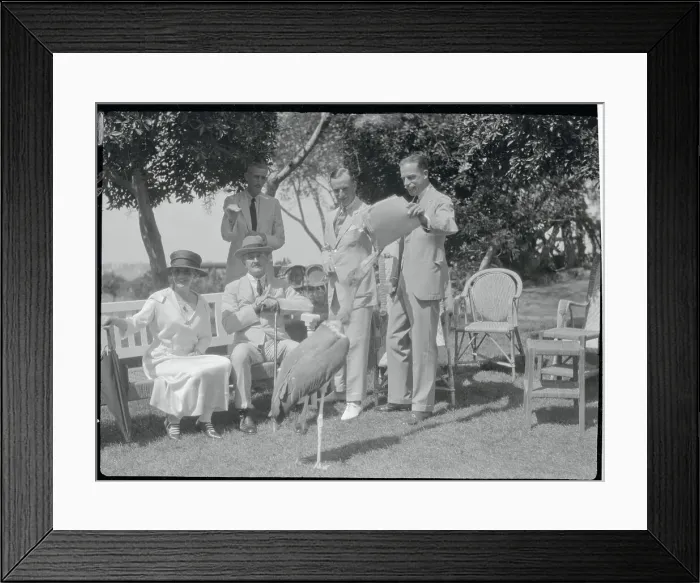 Framed Print : Viscount Allenby with Wife and Staff Framed Print : Viscount Allenby with Wife and Staff