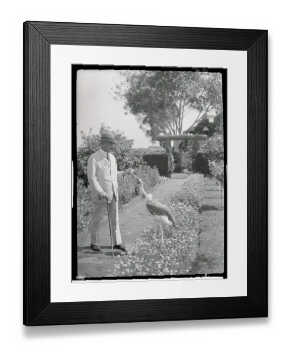 Framed Print : Viscount Allenby and Pet Stork Framed Print : Viscount Allenby and Pet Stork