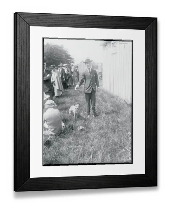 Framed Print : Socialite Walking Dog Framed Print : Socialite Walking Dog