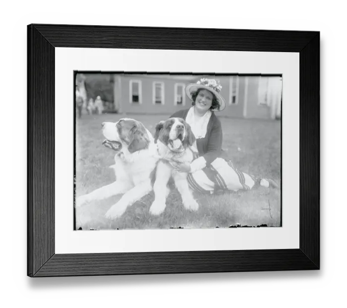 Framed Print : Society Woman with Prize Winning Saint Bernards