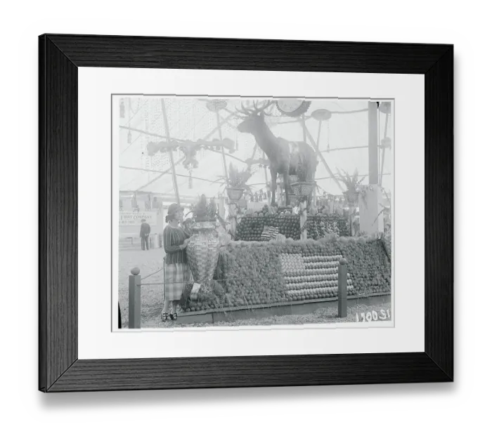 Framed Print : Girl Viewing American Flag Exhibit Made of Oranges