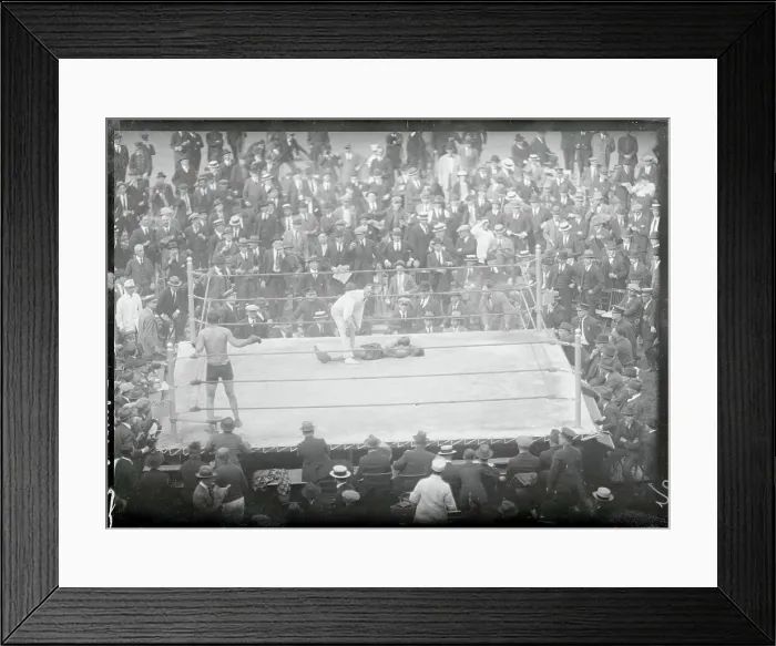 Framed Print : Jack Herman Knocked Out by Luiz Angelo Firpo Framed Print : Jack Herman Knocked Out by Luiz Angelo Firpo