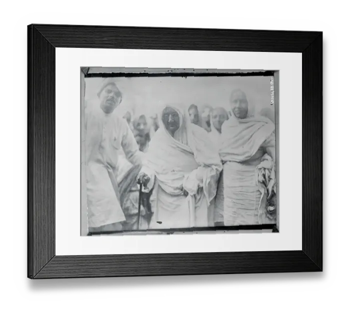 Framed Print : Hauling Cotton Down Street Framed Print : Hauling Cotton Down Street