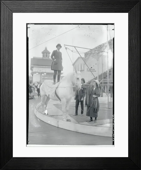 Framed Print : Woman Standing on Horseback Framed Print : Woman Standing on Horseback