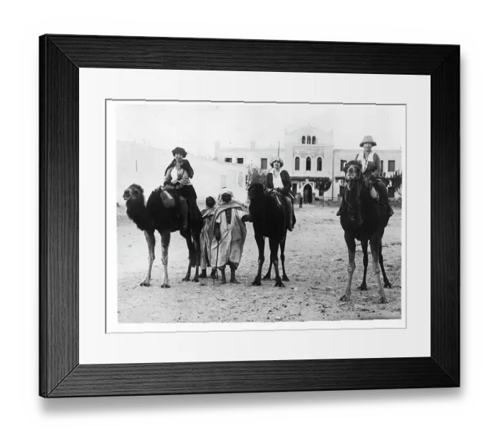 Framed Print : Tourists Ride Camels in the Sahara Framed Print : Tourists Ride Camels in the Sahara