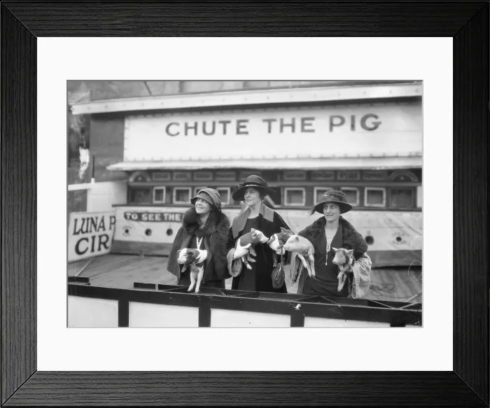 Framed Print : Society Women Holding Pigs at Amusement Park Framed Print : Society Women Holding Pigs at Amusement Park