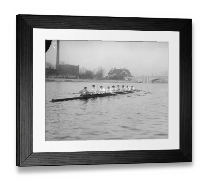 Framed Print : Harvard University's Varsity Crew Practicing Framed Print : Harvard University's Varsity Crew Practicing
