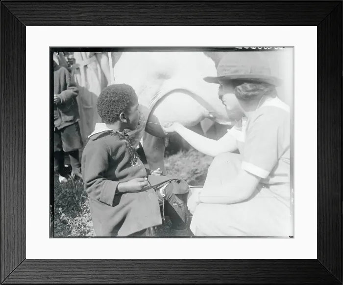 Framed Print : Boy Drinking from Cow Utter Framed Print : Boy Drinking from Cow Utter