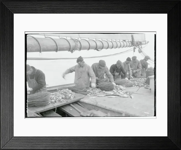 Framed Print : Fishermen Cutting Herring Framed Print : Fishermen Cutting Herring