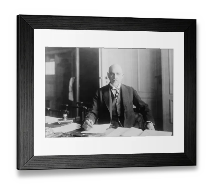 Framed Print : Portrait of Walther Rathenau Framed Print : Portrait of Walther Rathenau