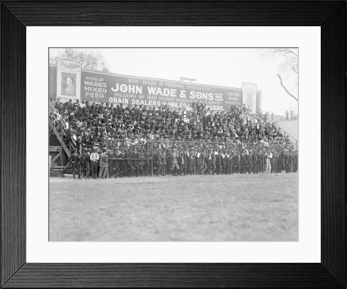 Framed Print : Bleachers for Black Spectators at Baseball Game Framed Print : Bleachers for Black Spectators at Baseball Game
