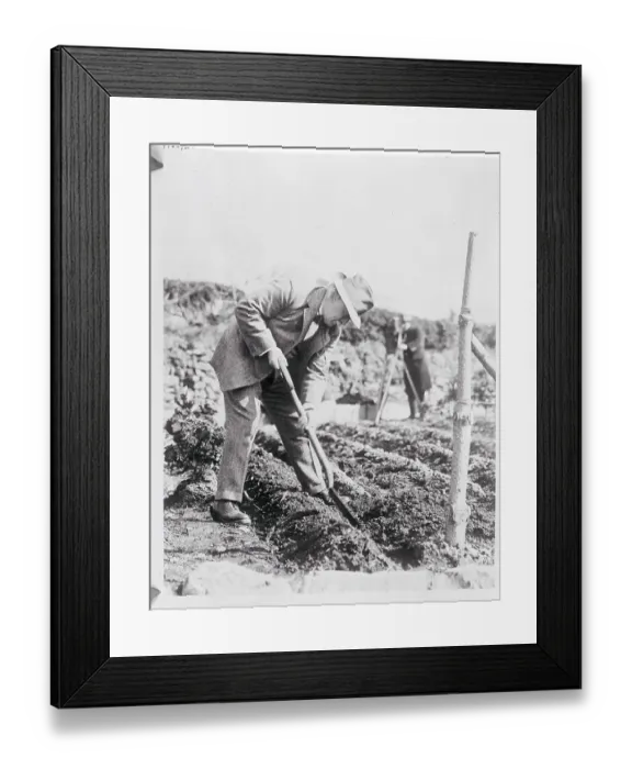 Framed Print : Prime Minister Lloyd George Digging Framed Print : Prime Minister Lloyd George Digging