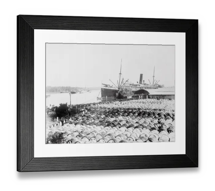 Framed Print : Palm Oil Shipping Framed Print : Palm Oil Shipping