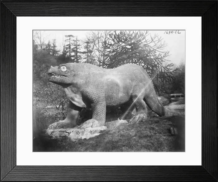 Framed Print : Portrait of an Iguanadon Framed Print : Portrait of an Iguanadon
