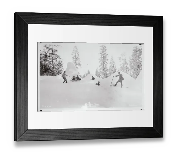Framed Print : Citizens Enjoying Themselves in Woodlands Framed Print : Citizens Enjoying Themselves in Woodlands