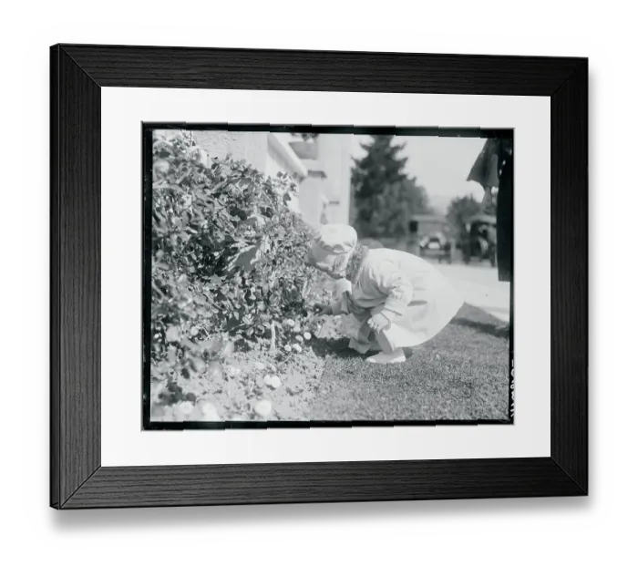 Framed Print : Mary Faith McAdoo Picking Flowers Framed Print : Mary Faith McAdoo Picking Flowers