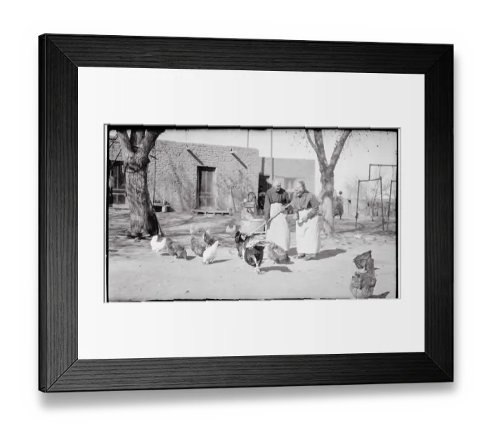 Framed Print : Portrait of Oldest Twins Tending Chickens Framed Print : Portrait of Oldest Twins Tending Chickens