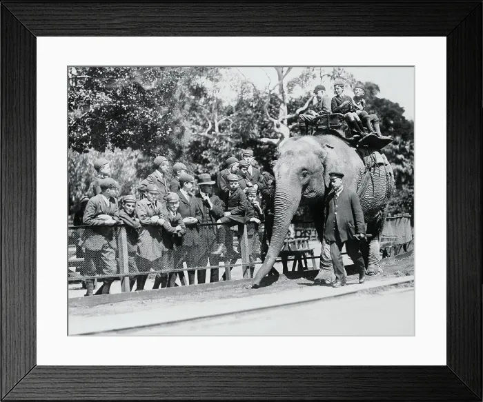 Framed Print : Children Riding on an Elephant