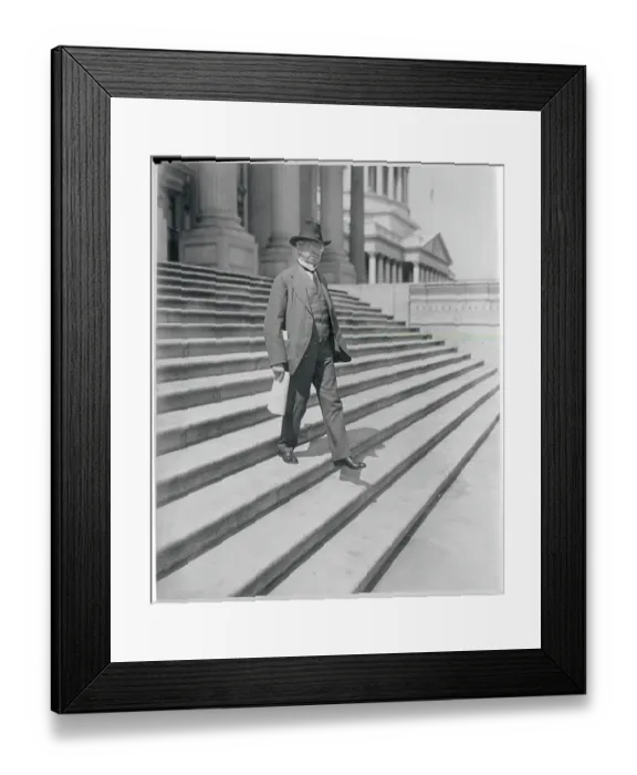 Framed Print : Jacob Coxey Descending Steps